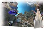 AMMOSORB - Natural Aquarium Toxic Ammonia Absorber Pouch: Medium