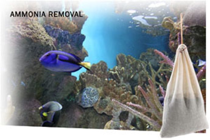 AMMOSORB - Natural Aquarium Toxic Ammonia Eliminators Pouch: Large