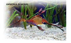 AmmoSorb - Natural Aquarium Ammonia Removal Deco Rock: 50 lb.