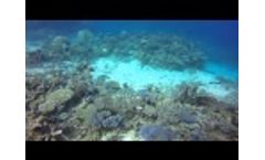 Australia. Great Barrier Reef - Part 1 - Video