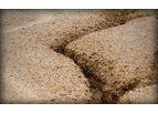 Soil Erosion and Sedimentation