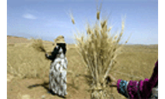 Middle East will suffer soil degradation due to climate change, says UN