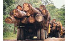 Forest industries a priority in Europe