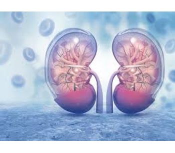 New data from finerenone clinical trial program reinforces renal and cardiovascular benefits in patients with CKD and T2D independent of baseline therapy