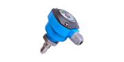 Thermal Dispersion Flow Switch