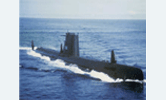 Agreement limits US Navy`s use of low-frequency active sonar