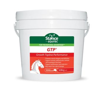 GTP - Premium Bend