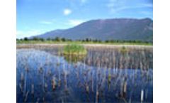 Connection between health of wetlands and humans in focus