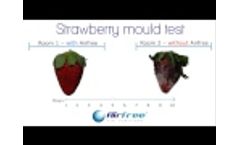 Strawberry Test - Video