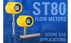 Optimizing Ozone Disinfection for Water Processes With Thermal Flow Meter Reduces Maintenance Costs