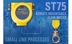Remote Mountable Flow Meter for Small Line Processes in Hazardous or Hard-to-Reach Locations