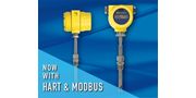 Gas Flow Meters