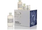 MagMAX - Cell-Free Total Nucleic Acid Kit
