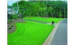 How Hydroseeding Can Grow Your Lawn, or Landscaping Business
