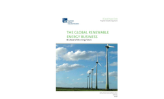 Program Brochure - The Global Renewable Energy Business 