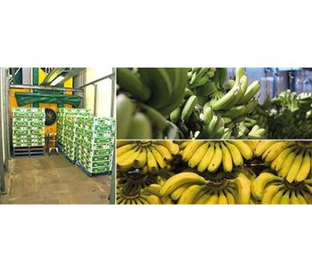 From Farm to Market: Fruit Ripening