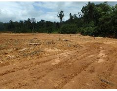 Deforestation through agriculture and mining in French Guiana: impacts on mercury concentrations in water - Case Study