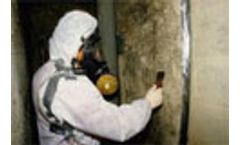 Many workers `asbestos ignorant`
