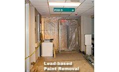 Lead-based Paint Services