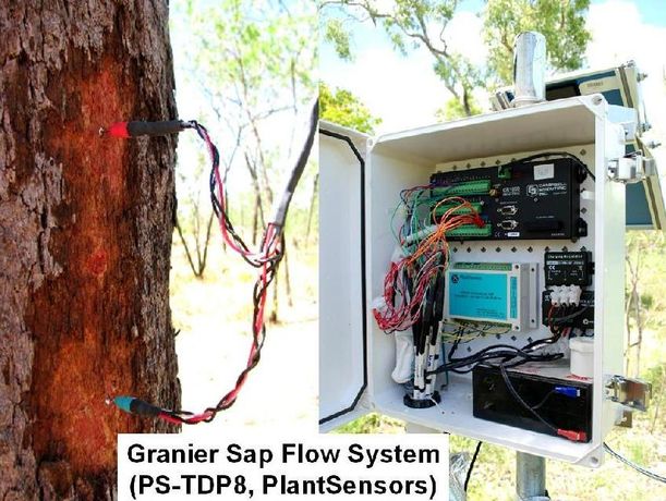 PlantSensors - Model PS-TDP8 - Complete Granier Sap Flow System