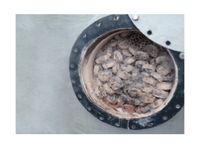 Biogascleans QSR - Biological Desulfurization Process System