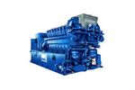 MWM - Model Tcg 2032 - Gas Engine