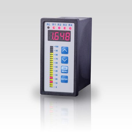 BD|Sensors - Model CIT 350 - Process Display with Contacts and Analogue Output