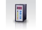 CIT 350 - Model CIT 350 - Process Indicator CIT 350