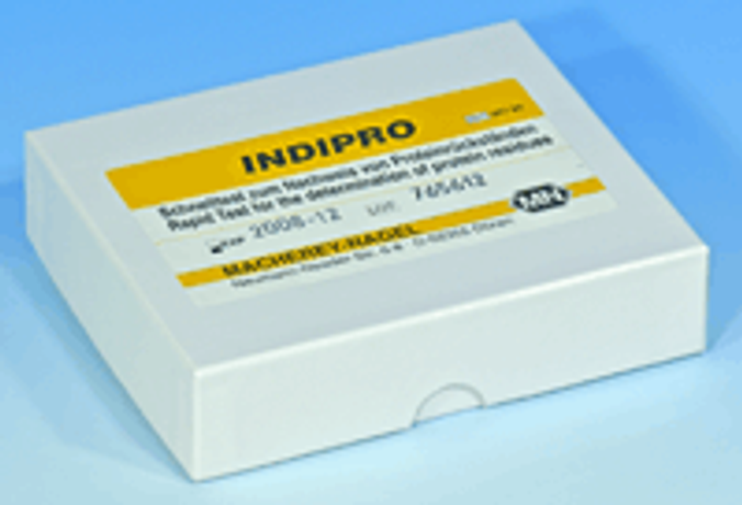 Indipro - Test Paper (#90765)