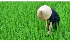 Vietnam: Environmental, Social, Health, Safety and Risk Management Consulting and Advisory Services