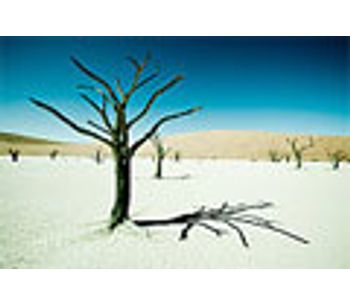 2008 World Day to combat desertification and drought