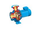 Johnson Pump - Model CombiBlocHorti - End-suction Horizontal Centrifugal Pump