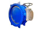 DVD - Double Eccentric Butterfly Valves