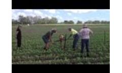 Scientific and Remote Monitoring of Crops Video