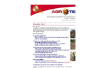 ATR11-News-No2 Brochure