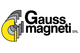 Gauss Magneti S.R.L.