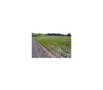 Septic Tank - Reed-Bed Sewage Treatment By Water Technology Engineering ...