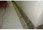 Mold Testing Services