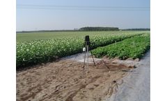 Crop Growth Condition Monitoring