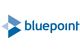 Bluepoint Environmental LLC