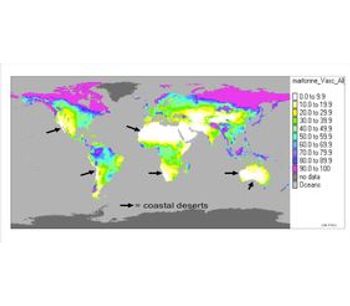 Atmocean - Coastal Deserts Software
