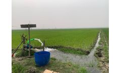 Strengthening agricultural sustainability in the Ganges Delta polders