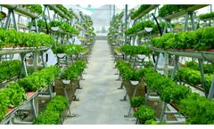 Back to the future: vertical farming