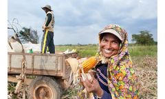 Sustainable vegetable cultivation