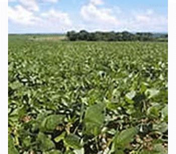 Soy industry adopts environmental safeguards