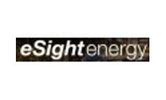 eSight Energy presents the Save on Energy, Save on Bills Annual Summit 2010 Video
