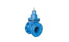 Model 01-2001410/-16 - Resilient Seated Wedge Gate Valves