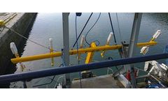 SafeLane - Intertidal and Marine Surveys Consultancy Services
