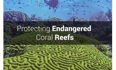 Protecting Endangered Coral Reefs