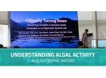 Understanding Algal Activity in Oligotrophic Waters